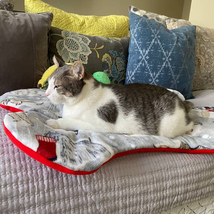 Handmade Pet Bed/Mat Dog Bone for wholesale by Screaming Pickles