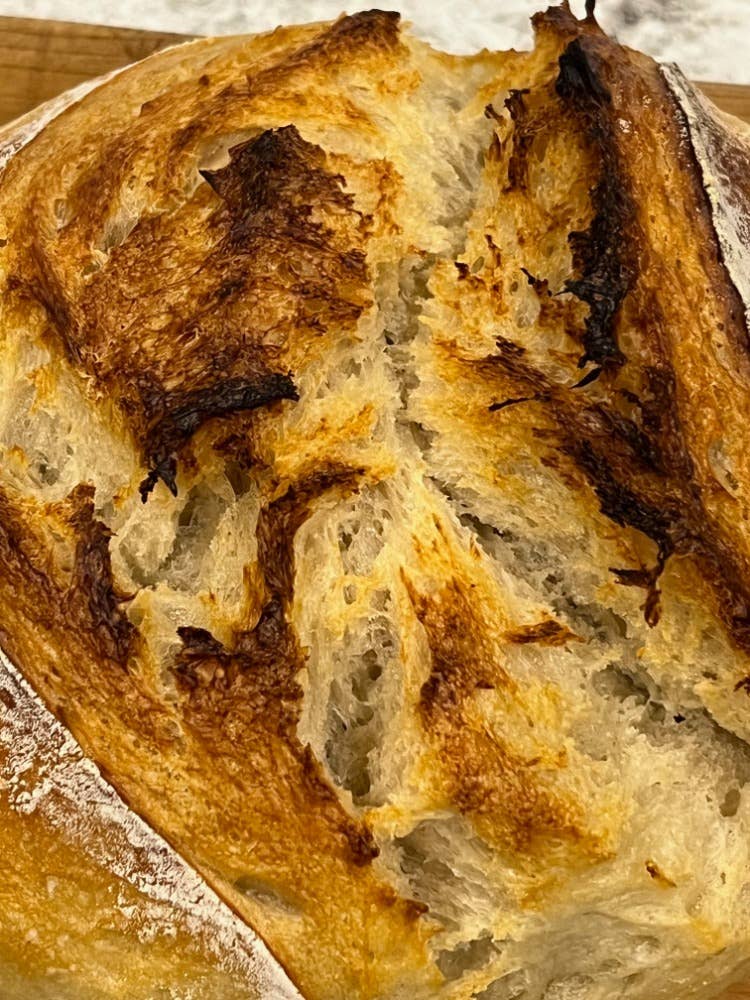 Philodendron and Fern Co. – wholesale Bread mix – Dehydrated Sourdough Started3