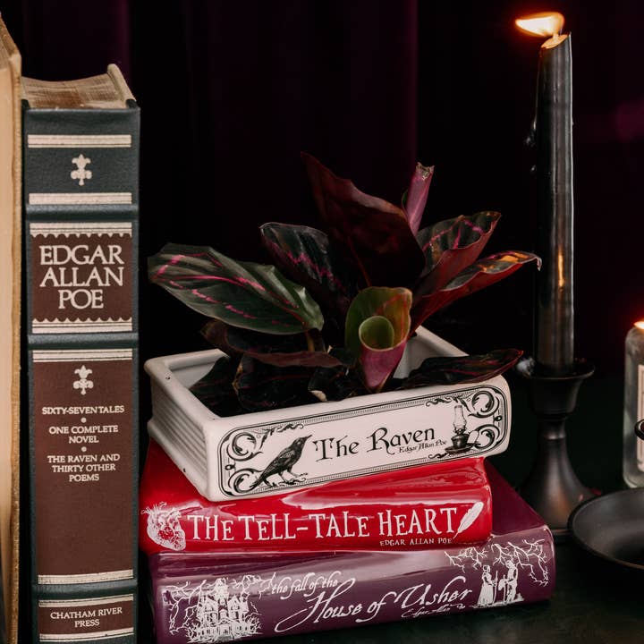 Steel Mill and Co. - Wholesale Planter Box - Stacked Book Planter, The Raven2