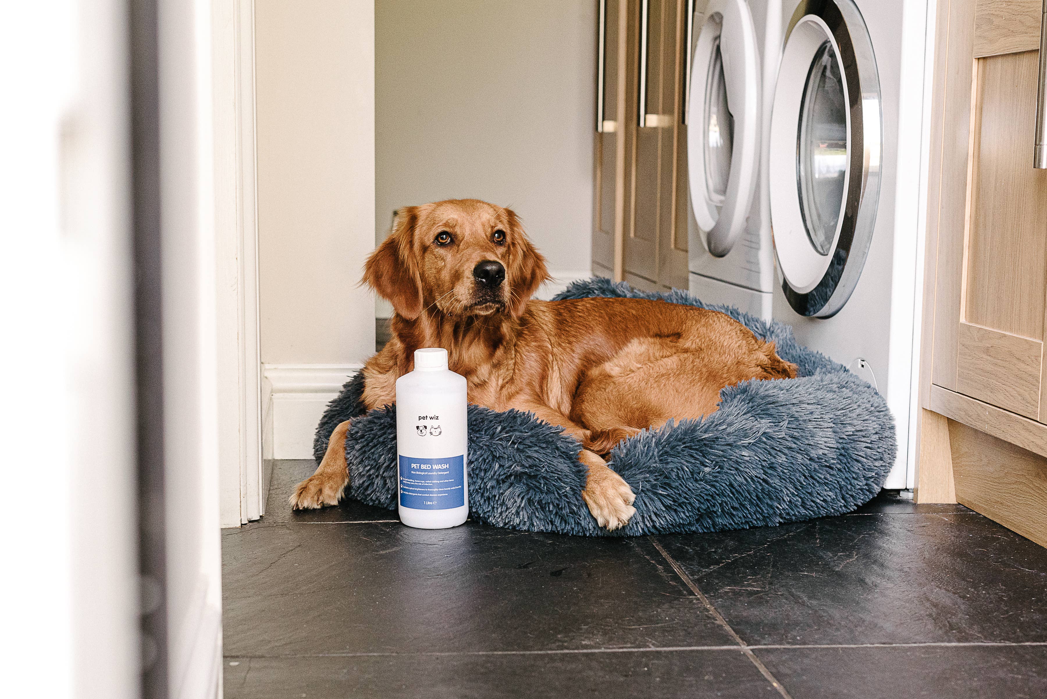 Pet Wiz - Wholesale Pet Bed - Cat/Dog - Pet Bed Wash - Non Biological Laundry Detergent3