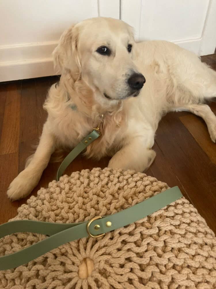 Splash By Happy - Wholesale Pet Leash - Dog - Biothane® single leash2