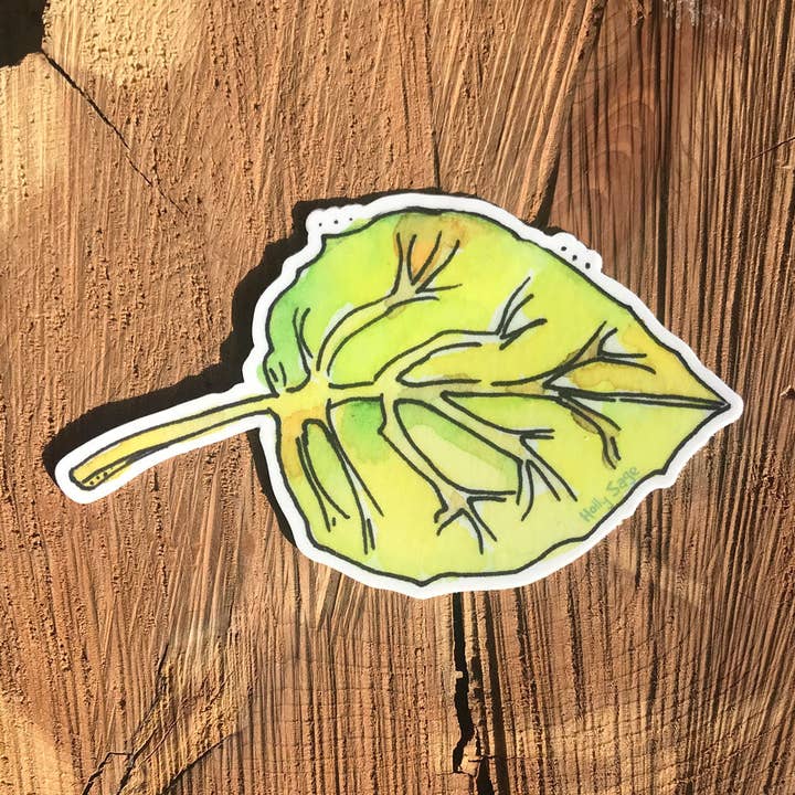 Aspen Leaf Sticker for wholesale by Holly Sage Art