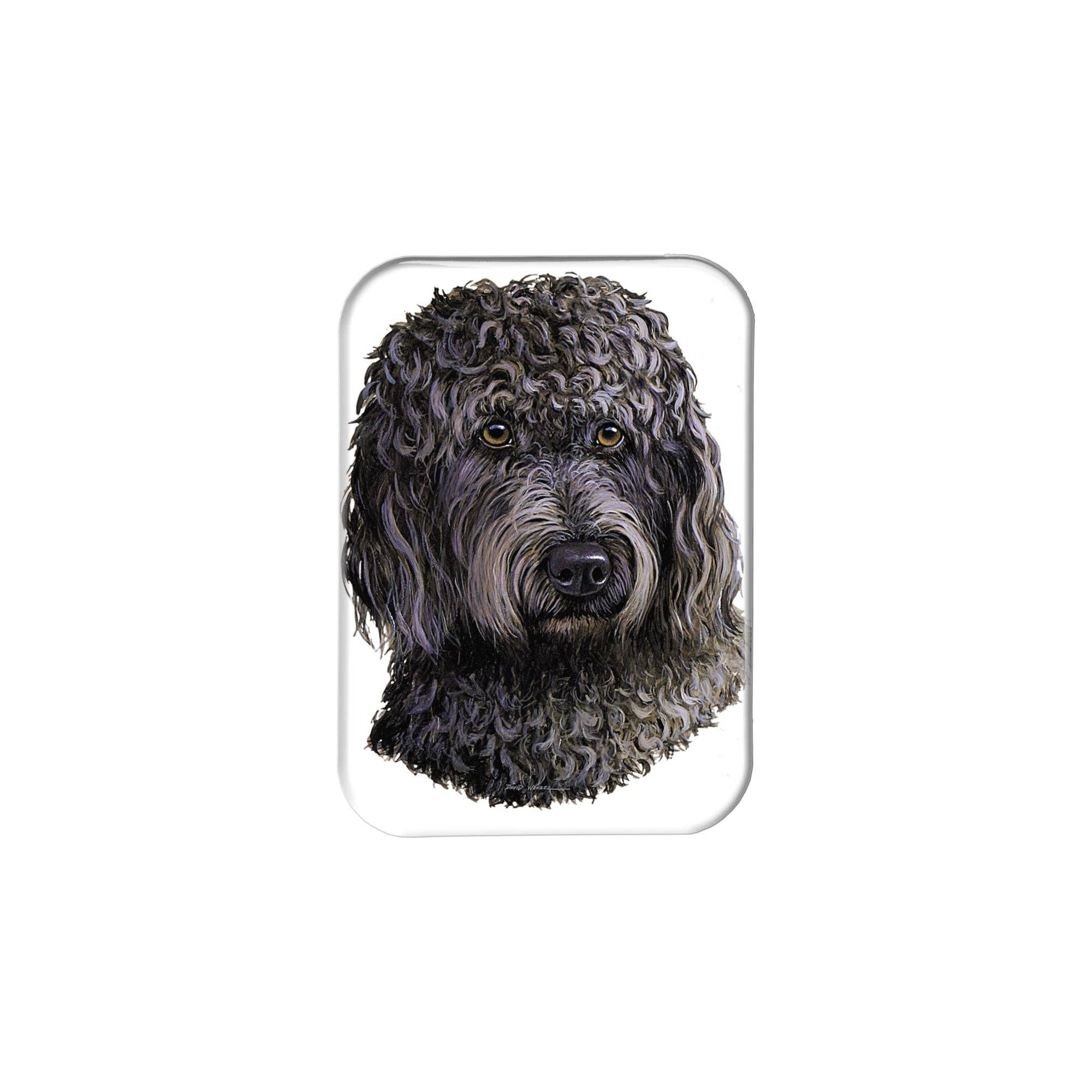 Airstrike - Wholesale Magnet - "Labradoodle" - 2.5" X 3.5" Rectangle Fridge Magnets