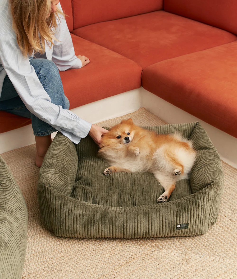 CAFIDE - Wholesale Pet Bed - Dog - Green Corduroy Dog Bed, Snozy1
