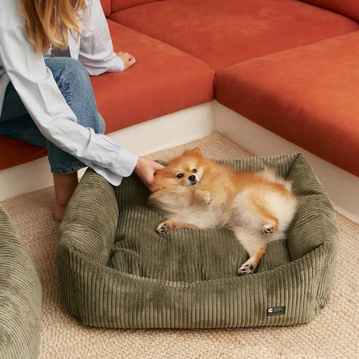 CAFIDE - Wholesale Pet bed – Dog - Green Corduroy Dog Bed, Snozy1