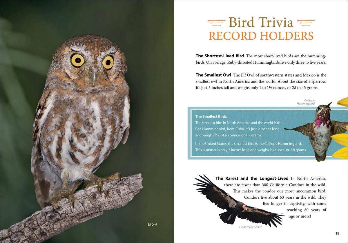 AdventureKEEN - Wholesale Nature & Outdoors Book - Bird Trivia8