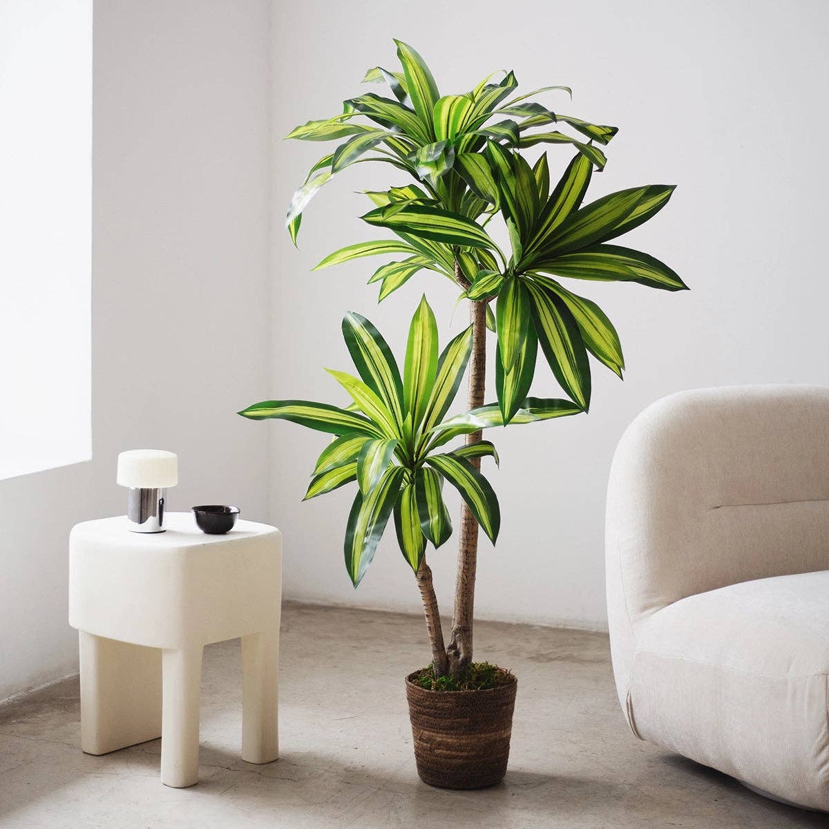 Maia Shop - Wholesale Plant Pot - Gaia Wicker Flowerpot4