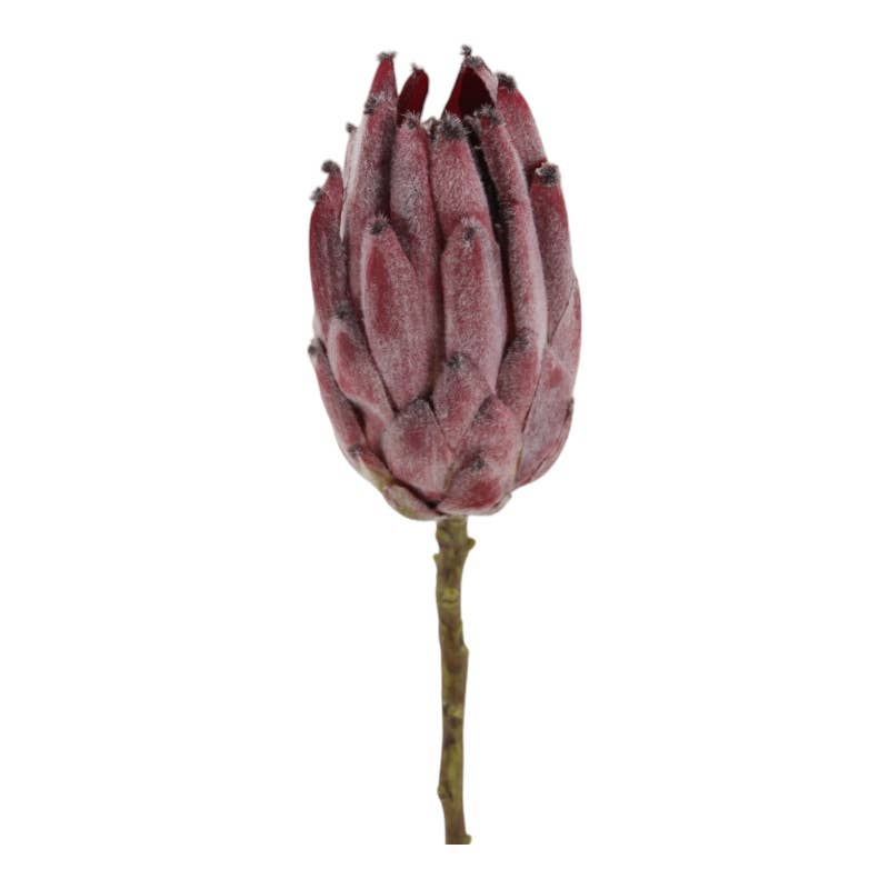 Floratexx - Wholesale Artificial Flowers - Protea 52 cm burgundy0