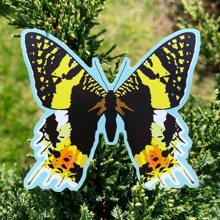 Butterfly Sticker for engroshandel hos All Things Scarlett