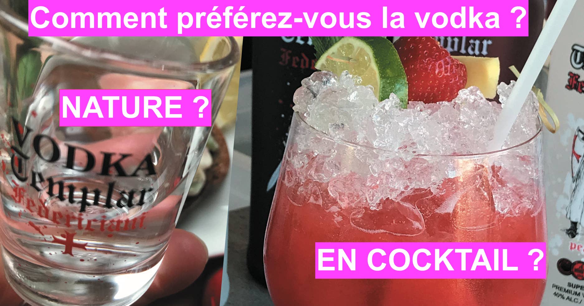 Templar - Vente Vodkas - Vodka Templar Black La Puissante34