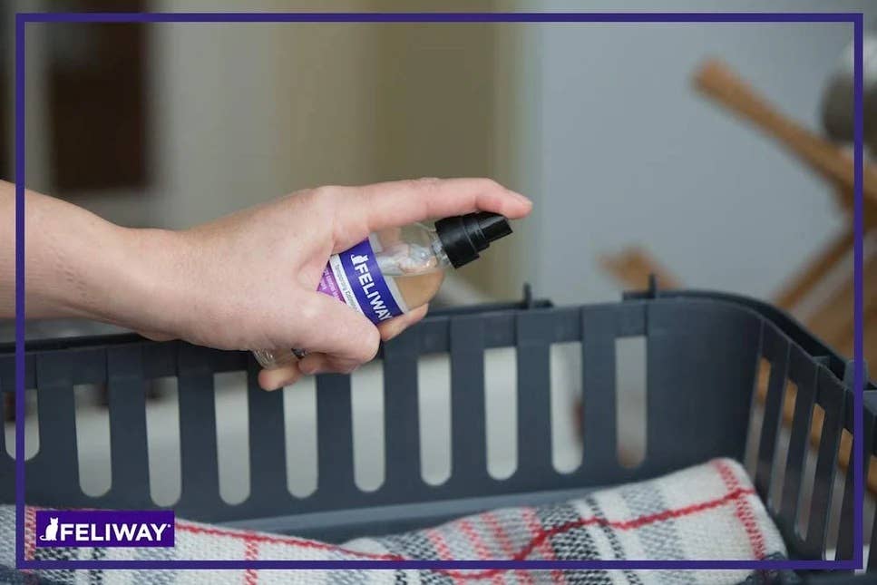 Pet Palette Distribution - Wholesale Pet Deodorizing Spray - Feliway Classic Cat Calming Pheromone Spray 60 mL6