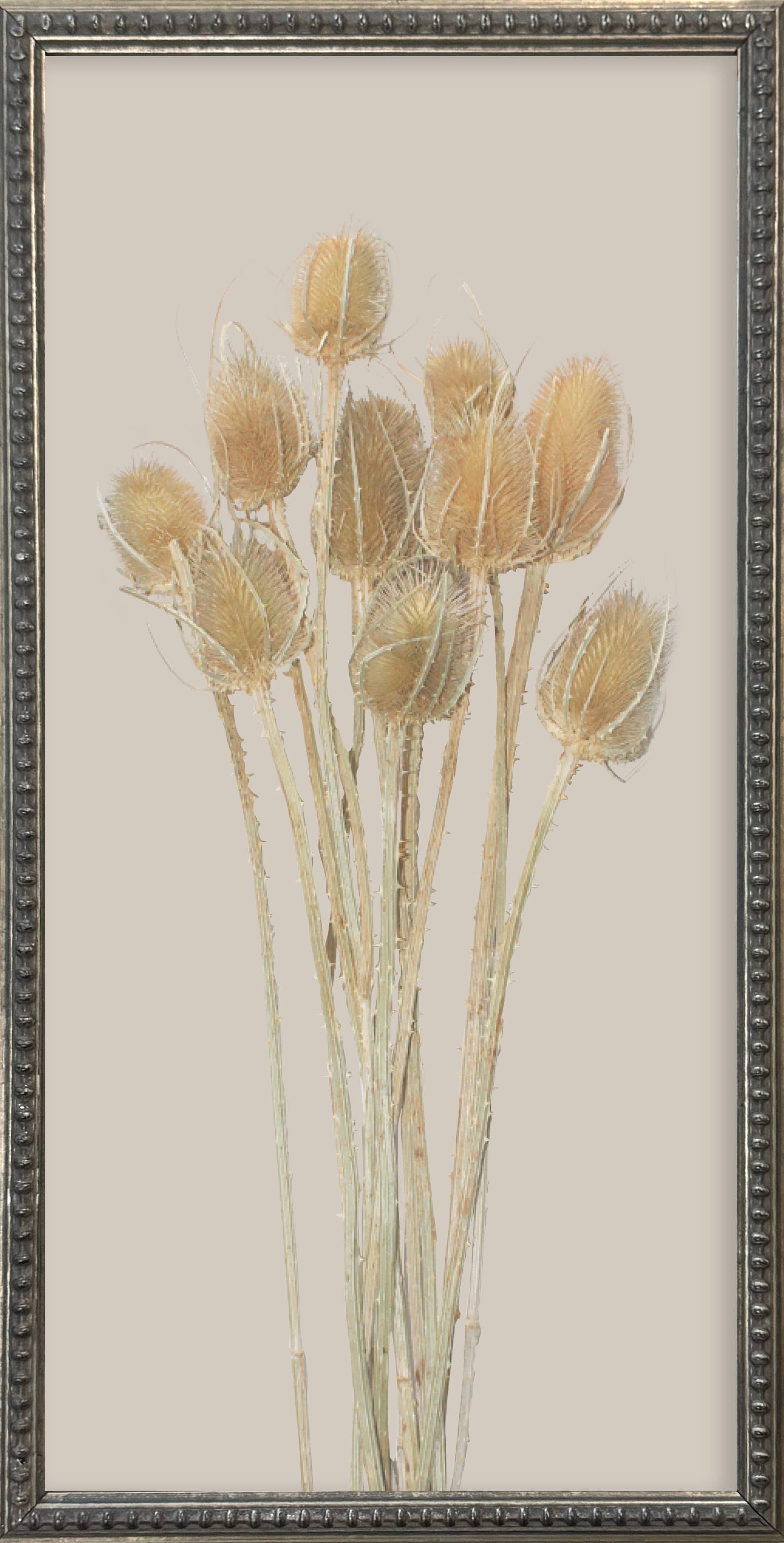 Brayden and Brooks – wholesale Gallery wall set – 12x24 Textured Botanicals Silver Bead Gallery Frame5