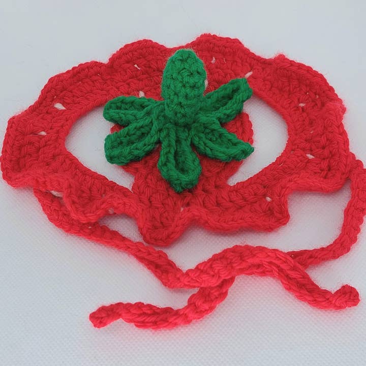 Glitter Ghost Clothing and Accessories – Engroshandel Hundehat - Hund – Hæklet Jordbærhue - Kattehjelm - Pet Hat5