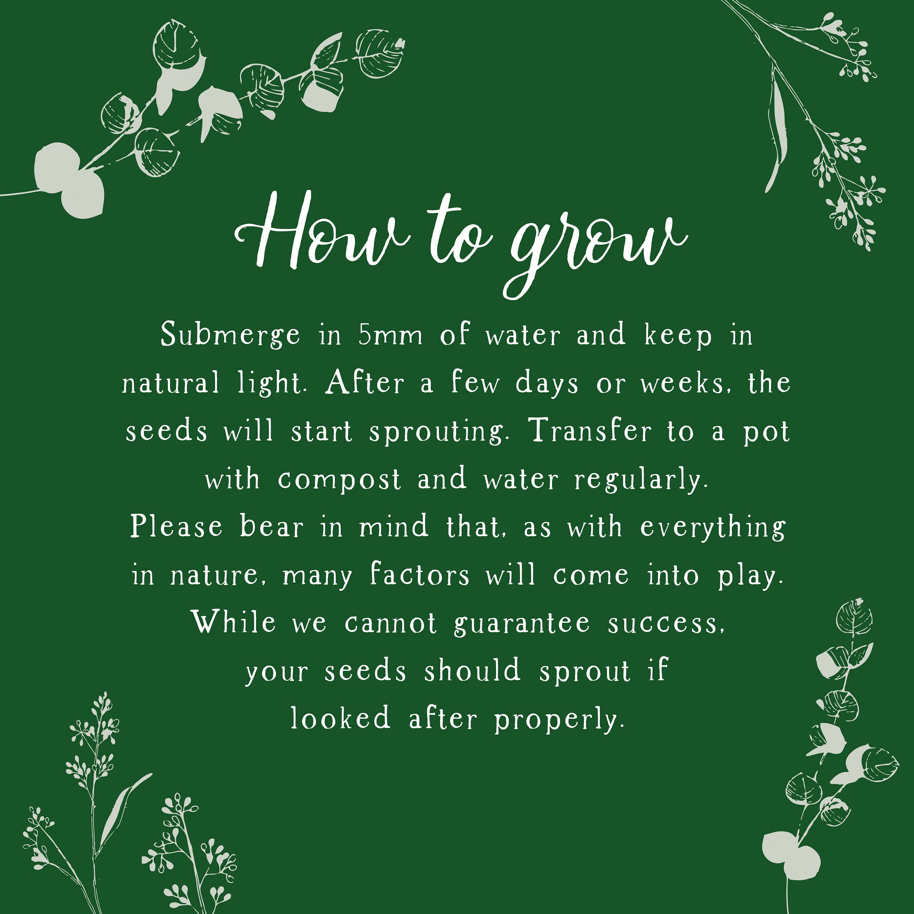 Purcell-Green Studios – wholesale Birthday card – Plantable Party Animal Birthday Card2