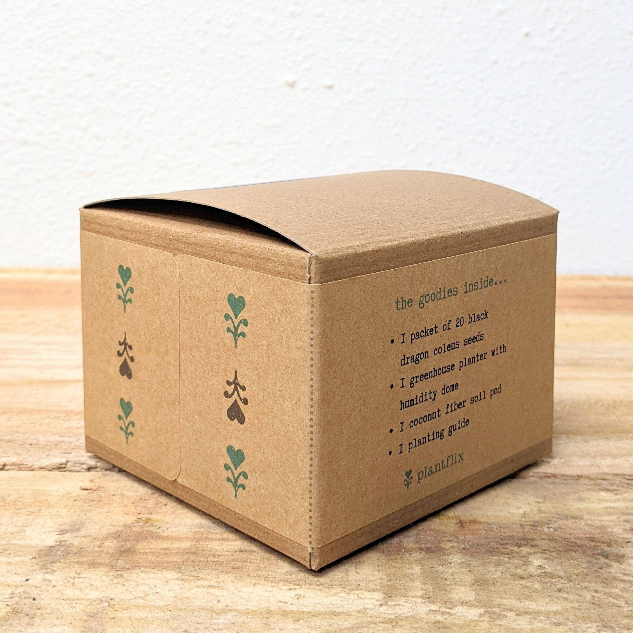 Plantflix - Wholesale Plant Seeds - Houseplant Seed Kit 14