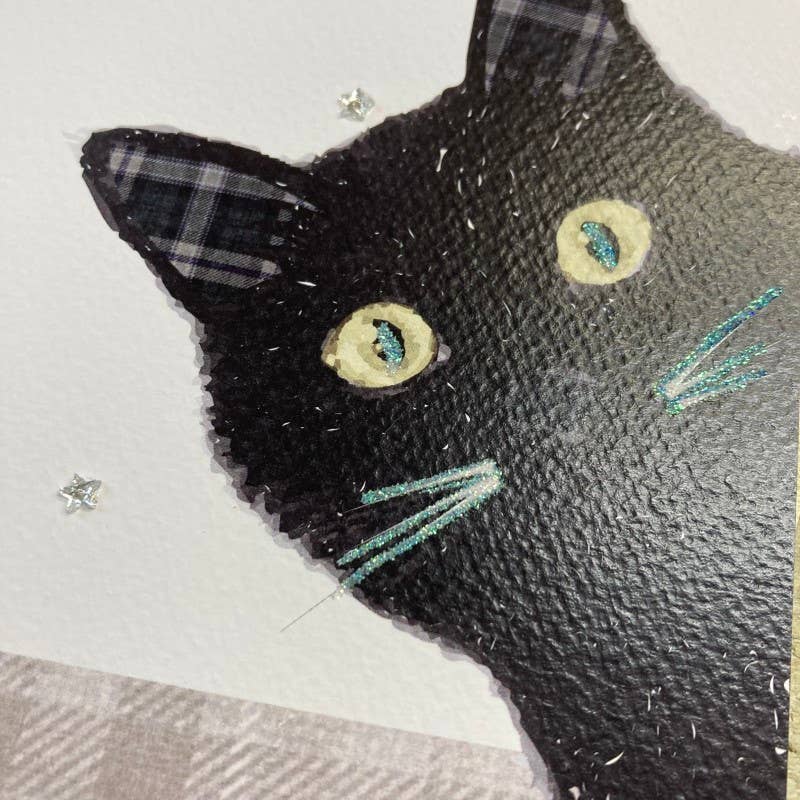 White Cotton Cards – wholesale Everyday greeting card – Blank Card - Black Cat (P23-20)1