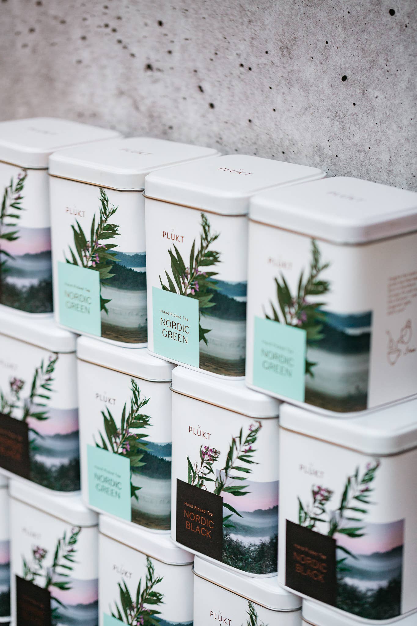 Plūkt - Wholesale Tea Bags - Herbal tea gift set NORDIC | organic tea collection, green4