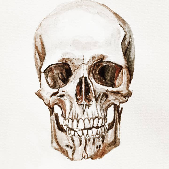 Skull Giclee-tryk for engroshandel hos HadsComerArt