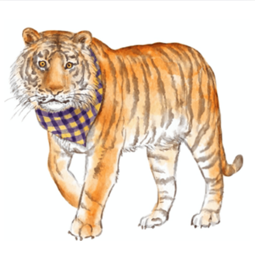 Front Porch Elegance - Wholesale Disposable Cup - Louisiana Tiger Frosted 16 oz Cup Set1