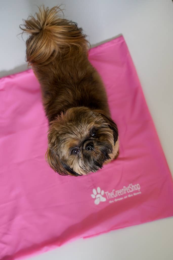 The Green Pet Shop - Wholesale Pet Bed - Dog - Cool Pet Pad Cover2