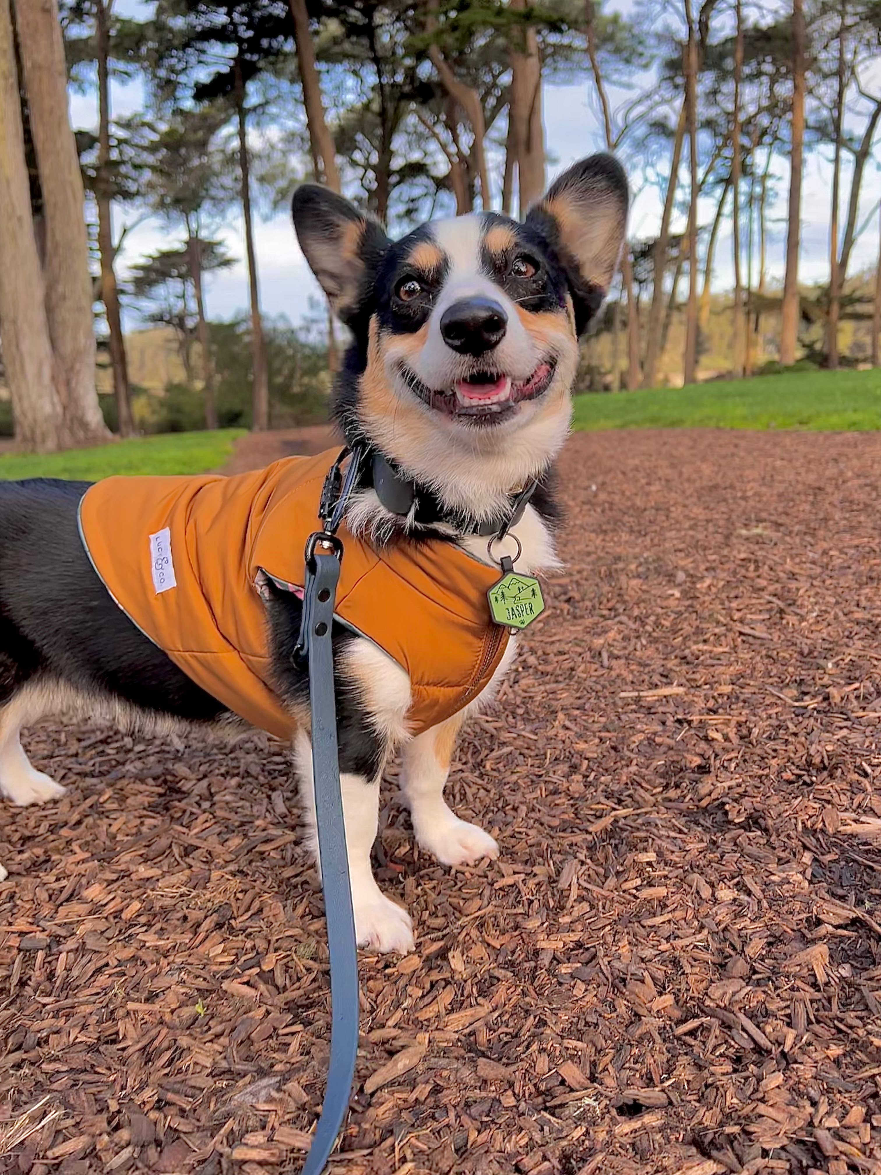 Besties Pets - Wholesale Pet Identification Tag - Dog - Paw Silicone Dog ID Tag21