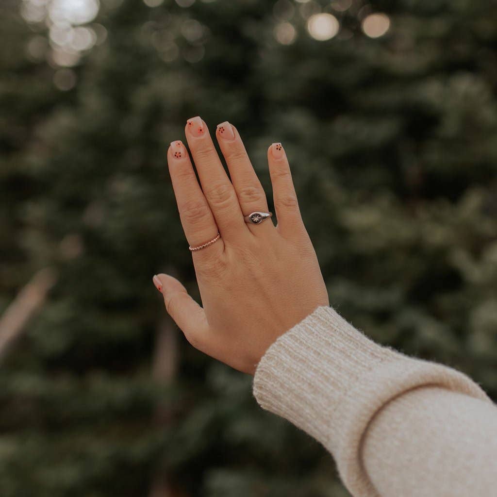 Mauve Jewelry Co. – wholesale Signetring – North Star Ring3
