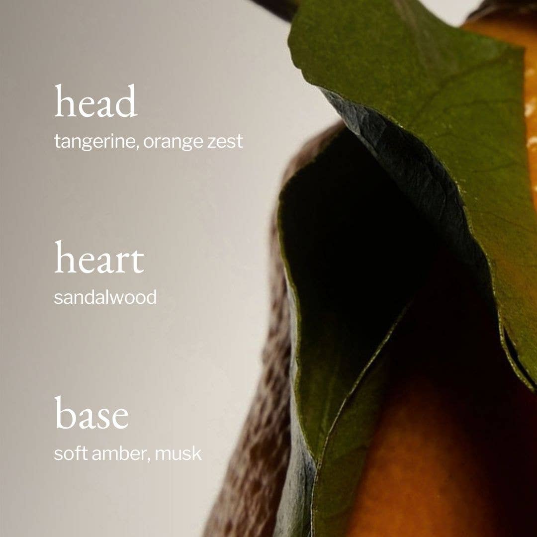 SOJA&CO.® - Wholesale Hand Soap/Wash - Liquid Hand Soap | Tangerine, Sandalwood & Amber4