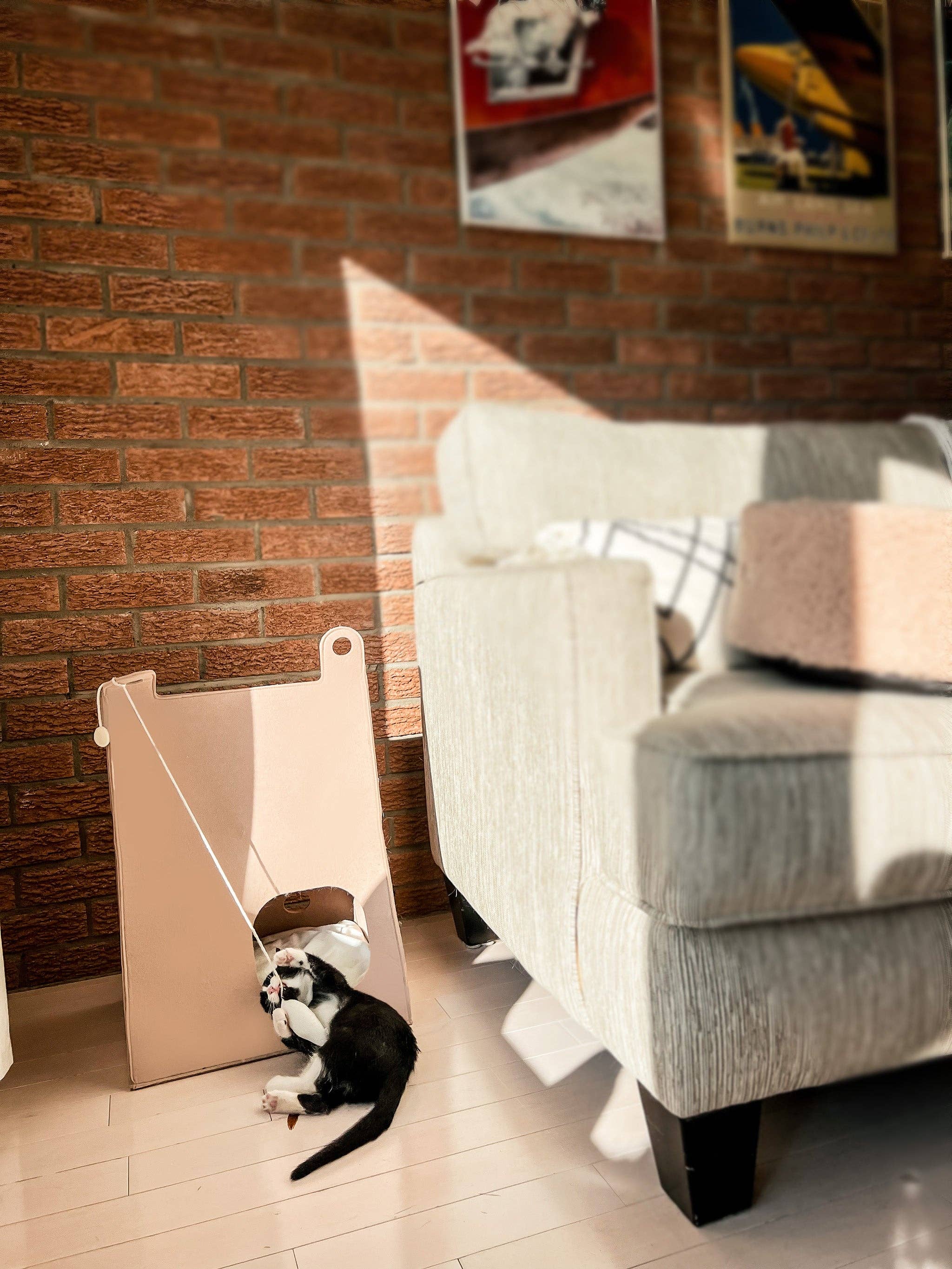 Bloire - Wholesale Pet Bed - Cat - Minimalist Moka Felt Cat House6