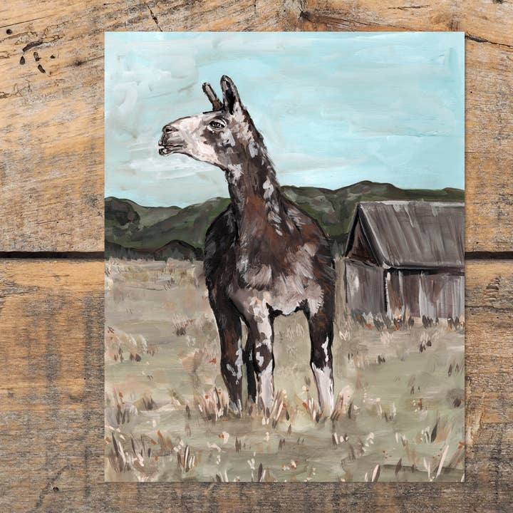 Llama Art Print for wholesale by The Cranberry Finch