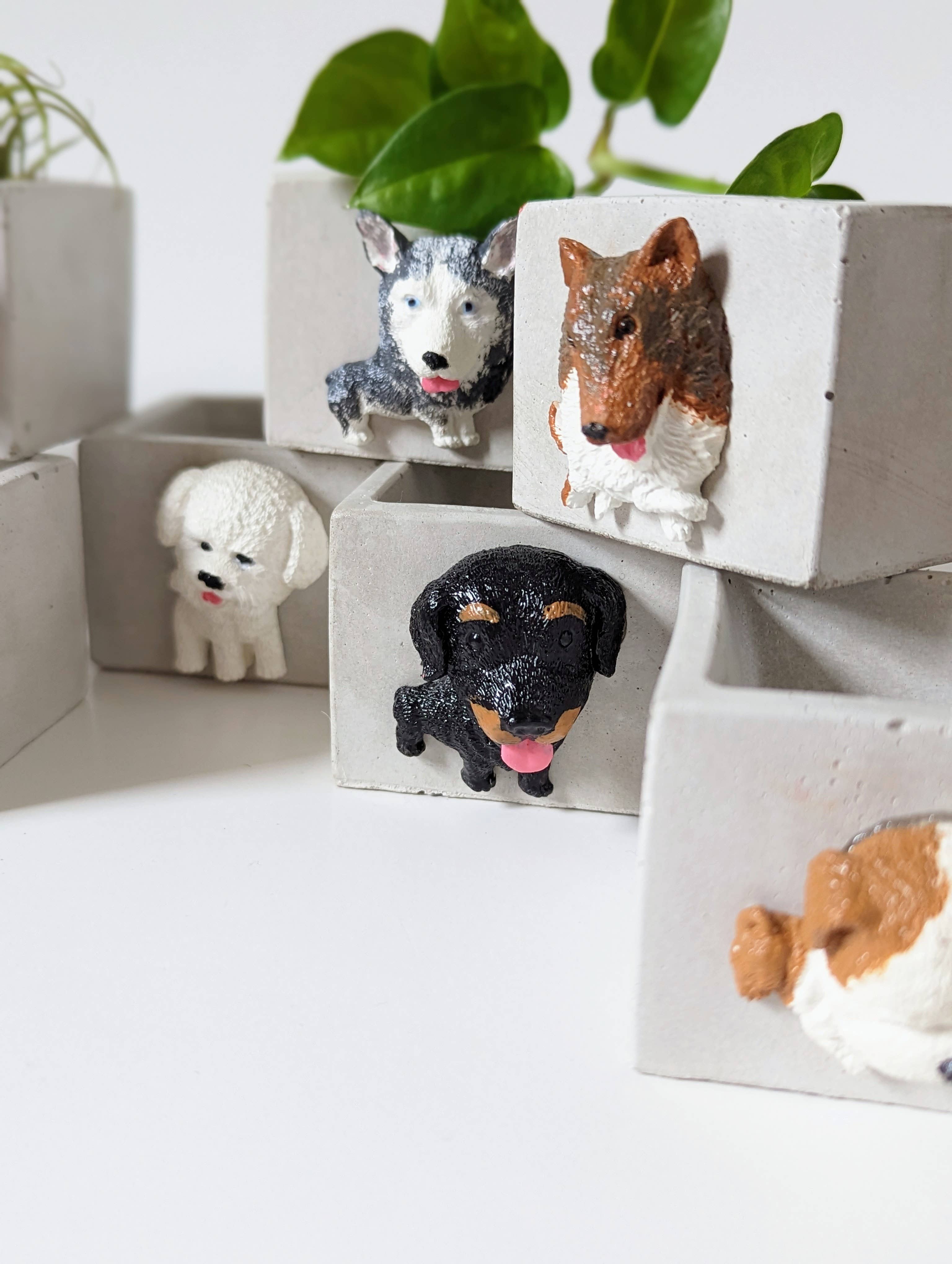 ForgottenProperty - Wholesale Plant pot - Doggo Mini Concrete Planter and Air Plant Holder6