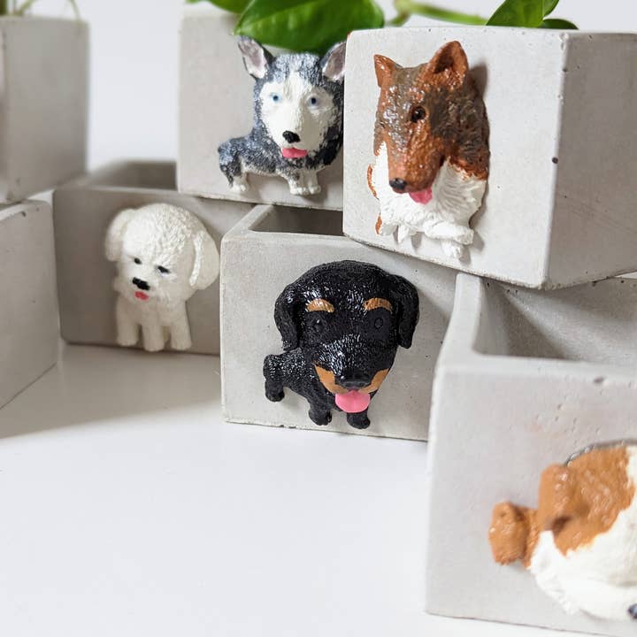 ForgottenProperty - Wholesale Plant pot - Doggo Mini Concrete Planter and Air Plant Holder6