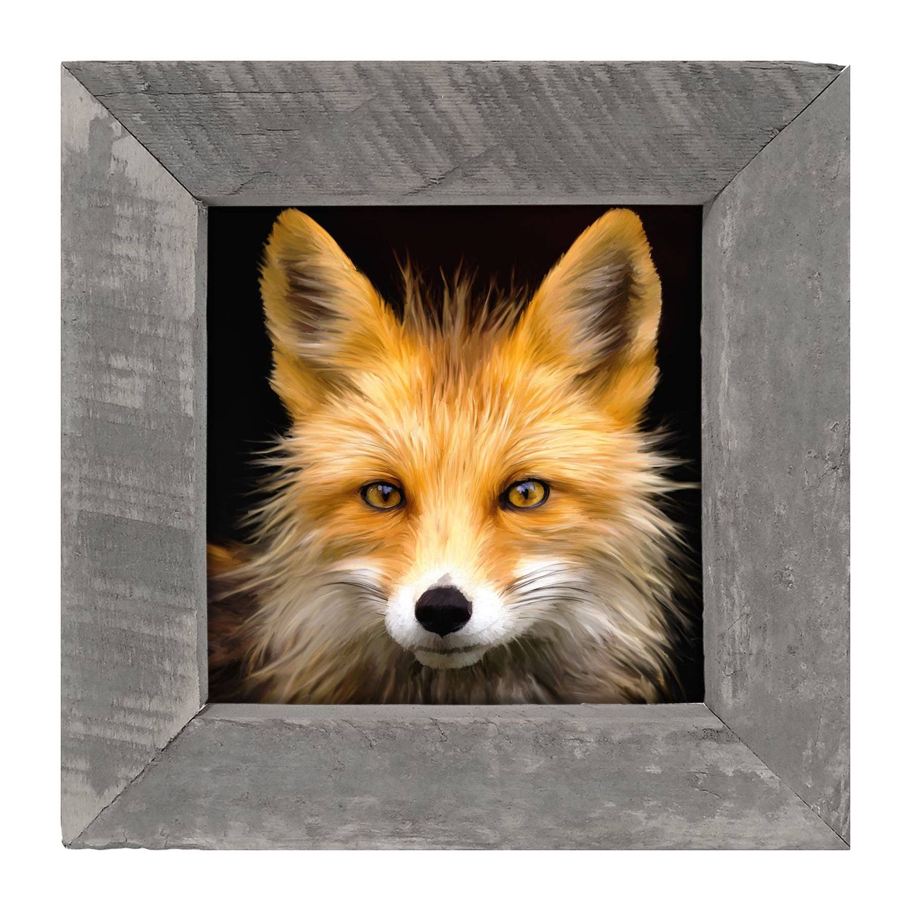 ginger blue - Vente Affiche d'art - Renard4