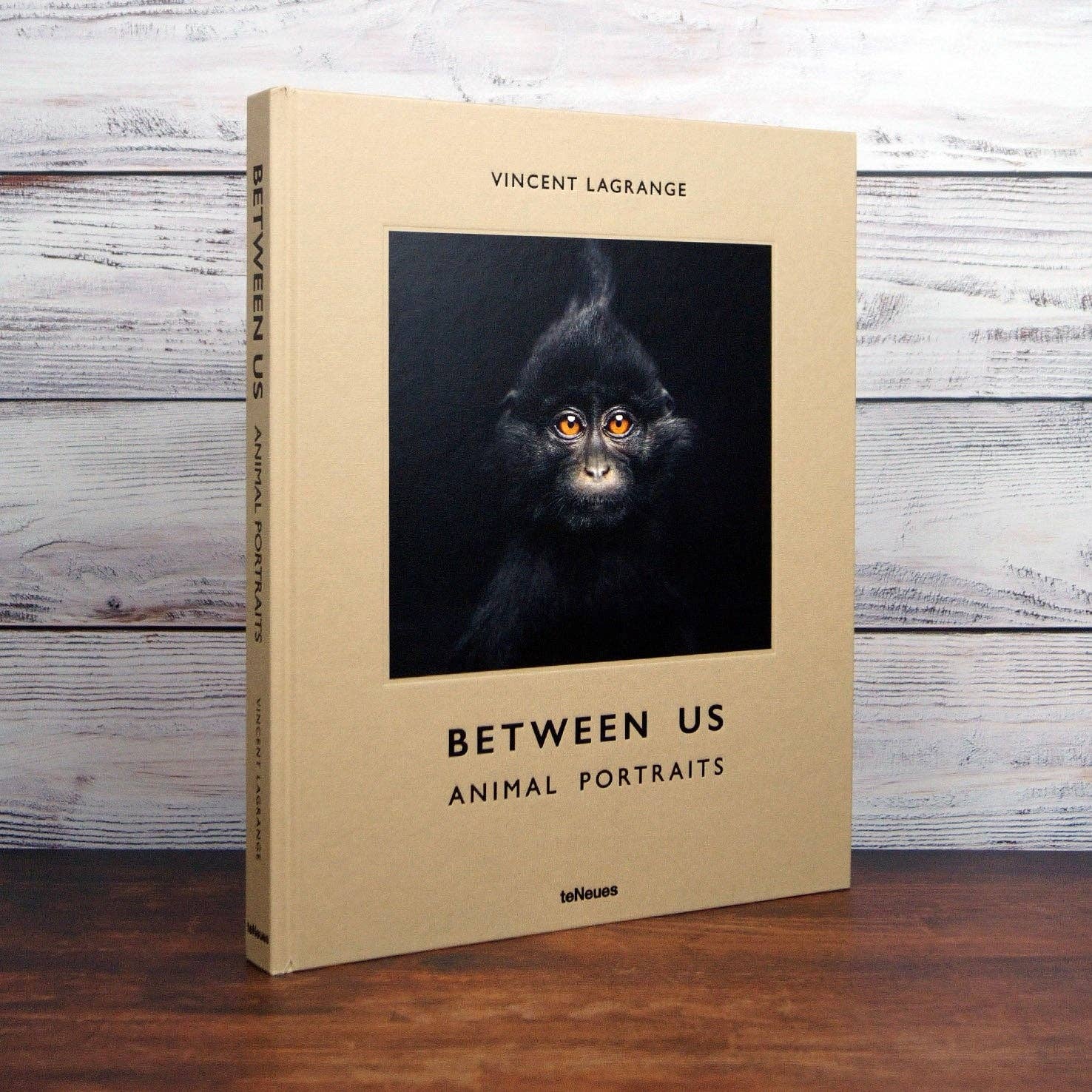 gestalten & teNeues - Wholesale Arts & Entertainment Book - Between Us6