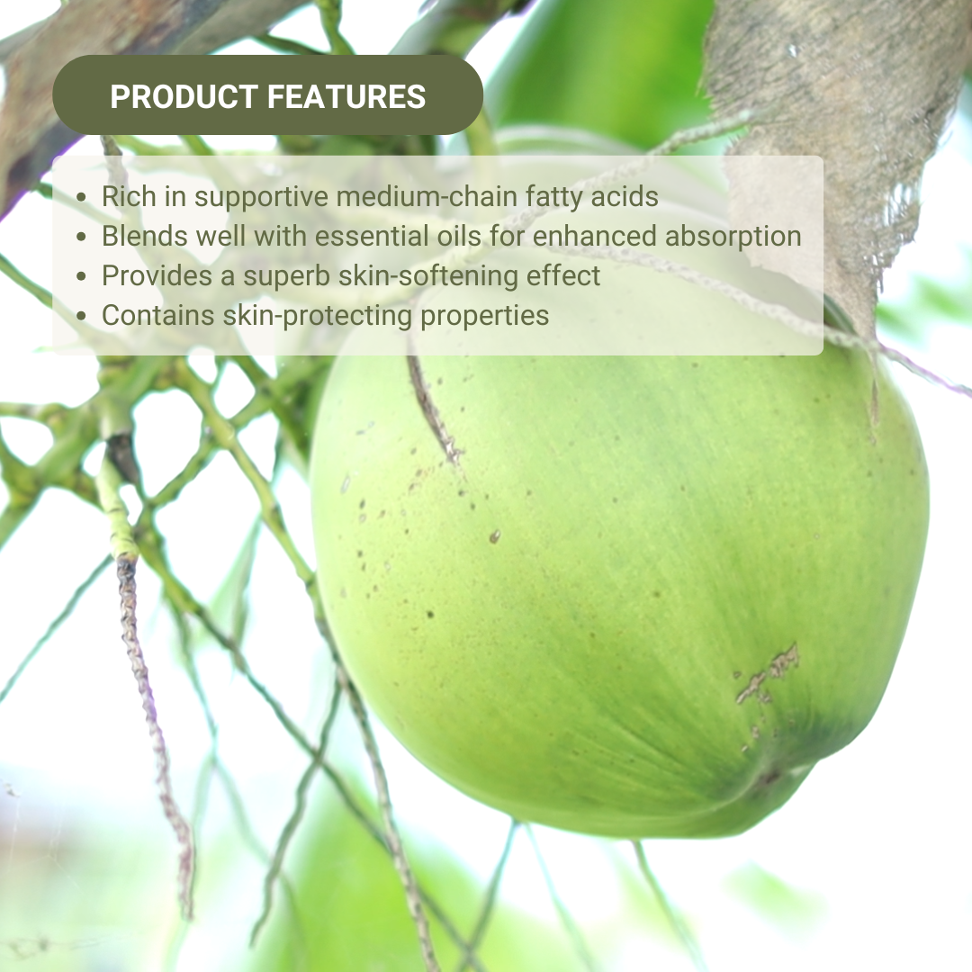 Nature Packaged - Wholesale Bath/Body Oil - Fractionated Coconut Oil - 100% Pure - Farm-Direct Sourcing4