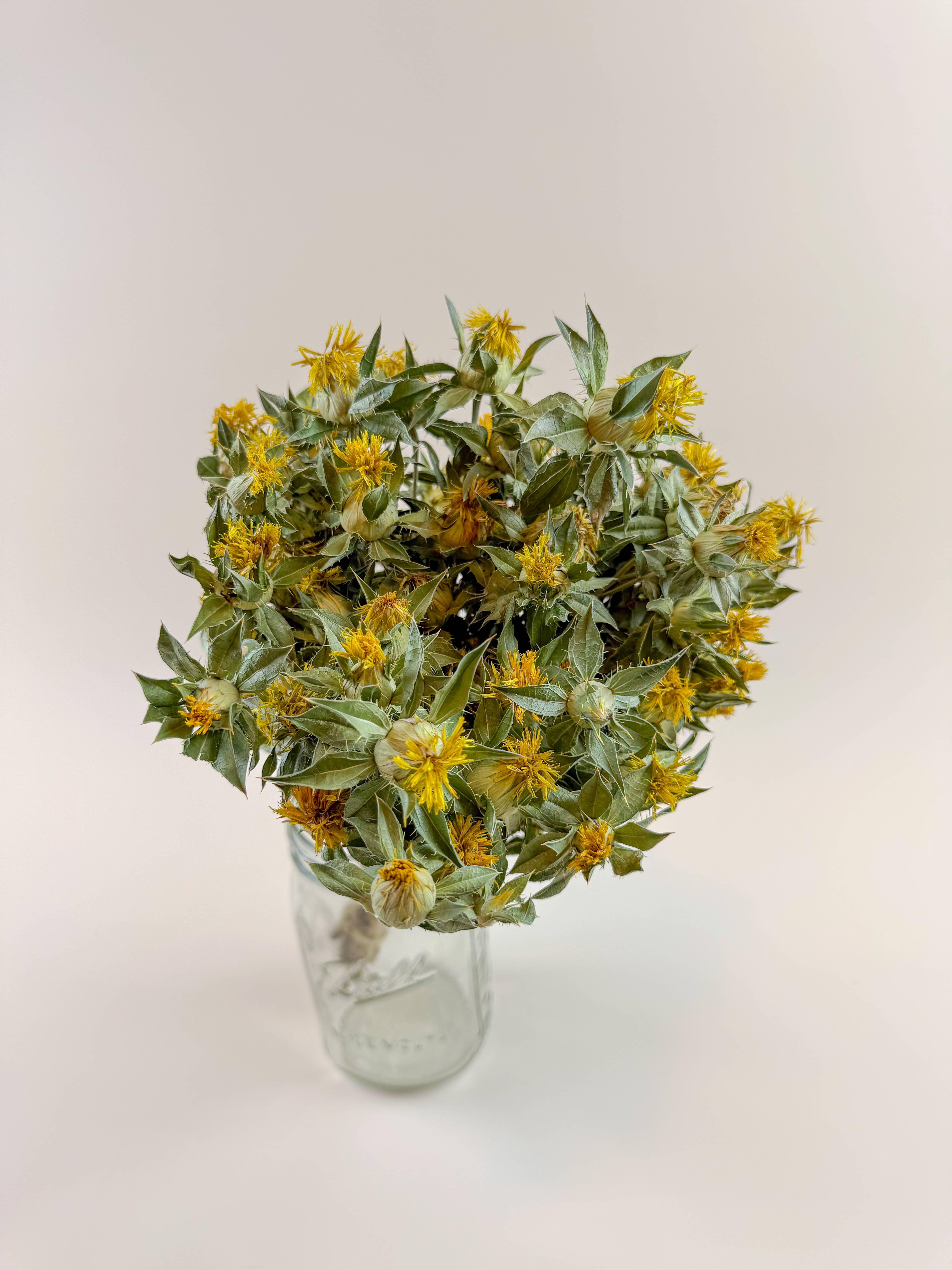 Lovejoy Farms Premium Dried Flowers – wholesale Dried/pressed flowers – Safflower - Yellow Naturally Dried Flowers 0