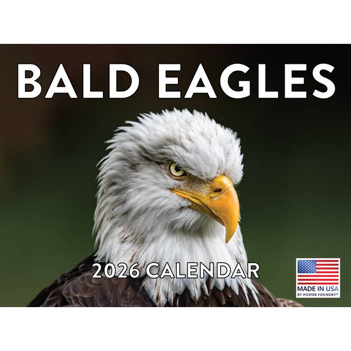 Bald Eagle Calendar 2026 Wall for wholesale by 2026 Calendars