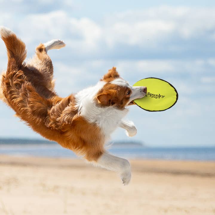 Spunky Pup - Wholesale Pet Plush Toy - Dog - Spunky Soft Disc1