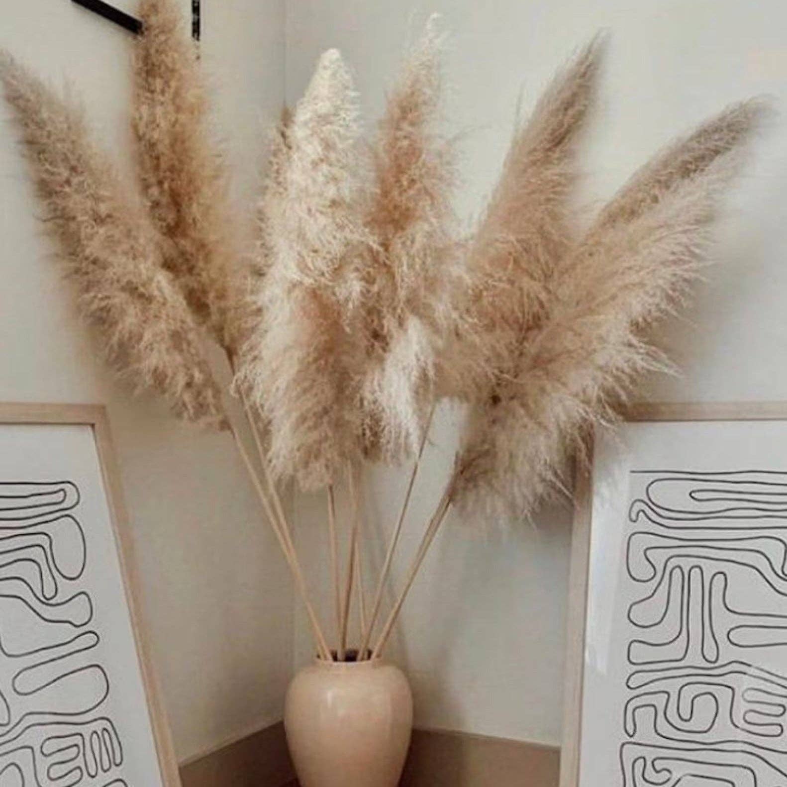 BRECK + FOX - Wholesale Dried/Pressed Flowers - Dried Natural Grass Plumes 10-Piece Set7