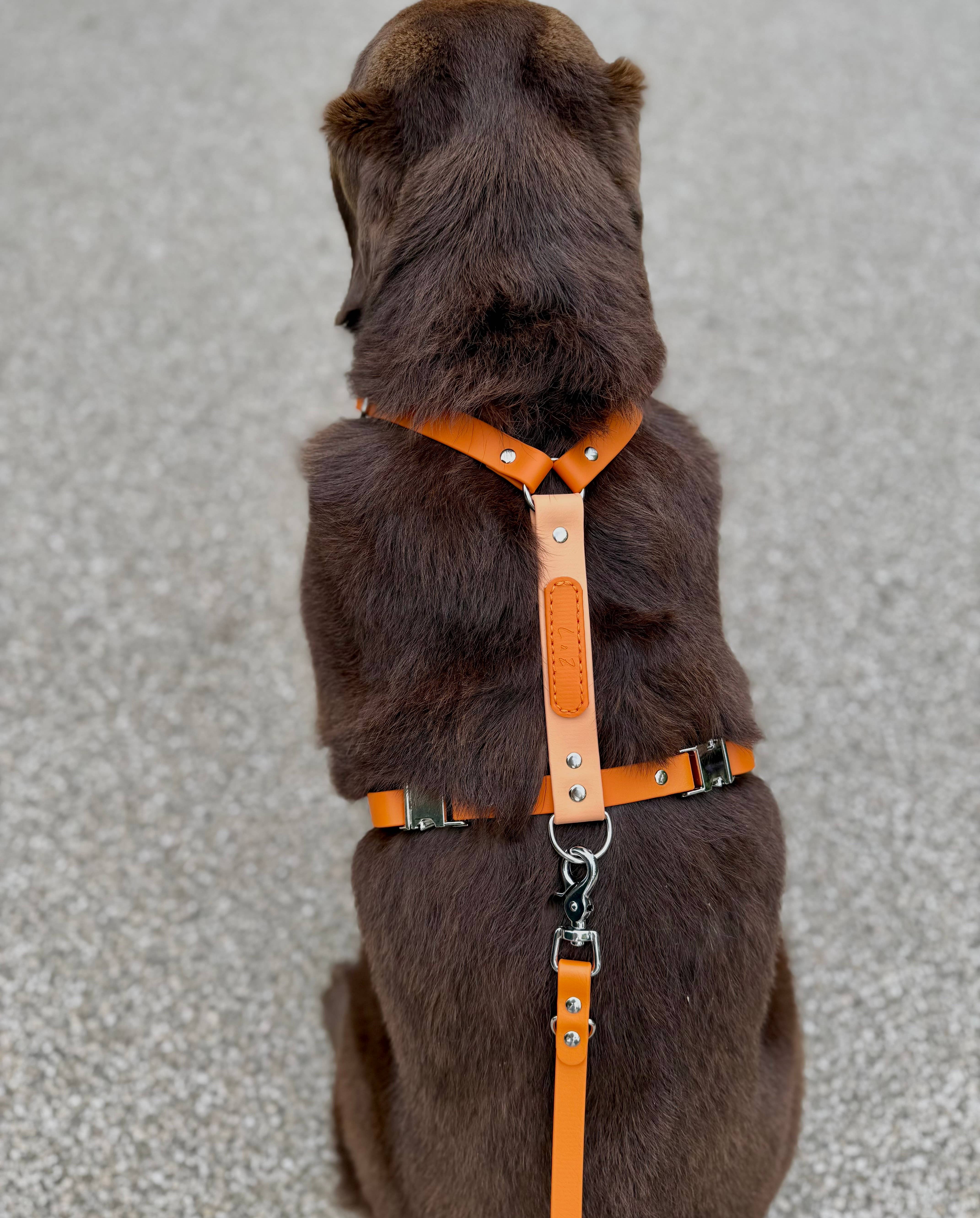 L&Z Dogwear - Wholesale Pet Harness - Dog - Hypoallergenic waterproof harness SIENNA - Biothane®2