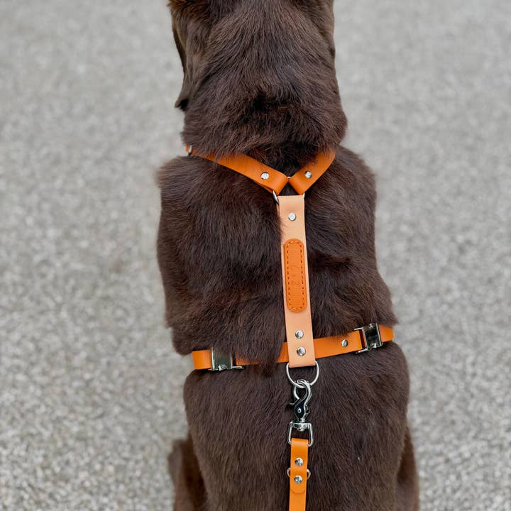 L&Z Dogwear - Wholesale Pet Harness - Dog - Hypoallergenic waterproof harness SIENNA - Biothane®2