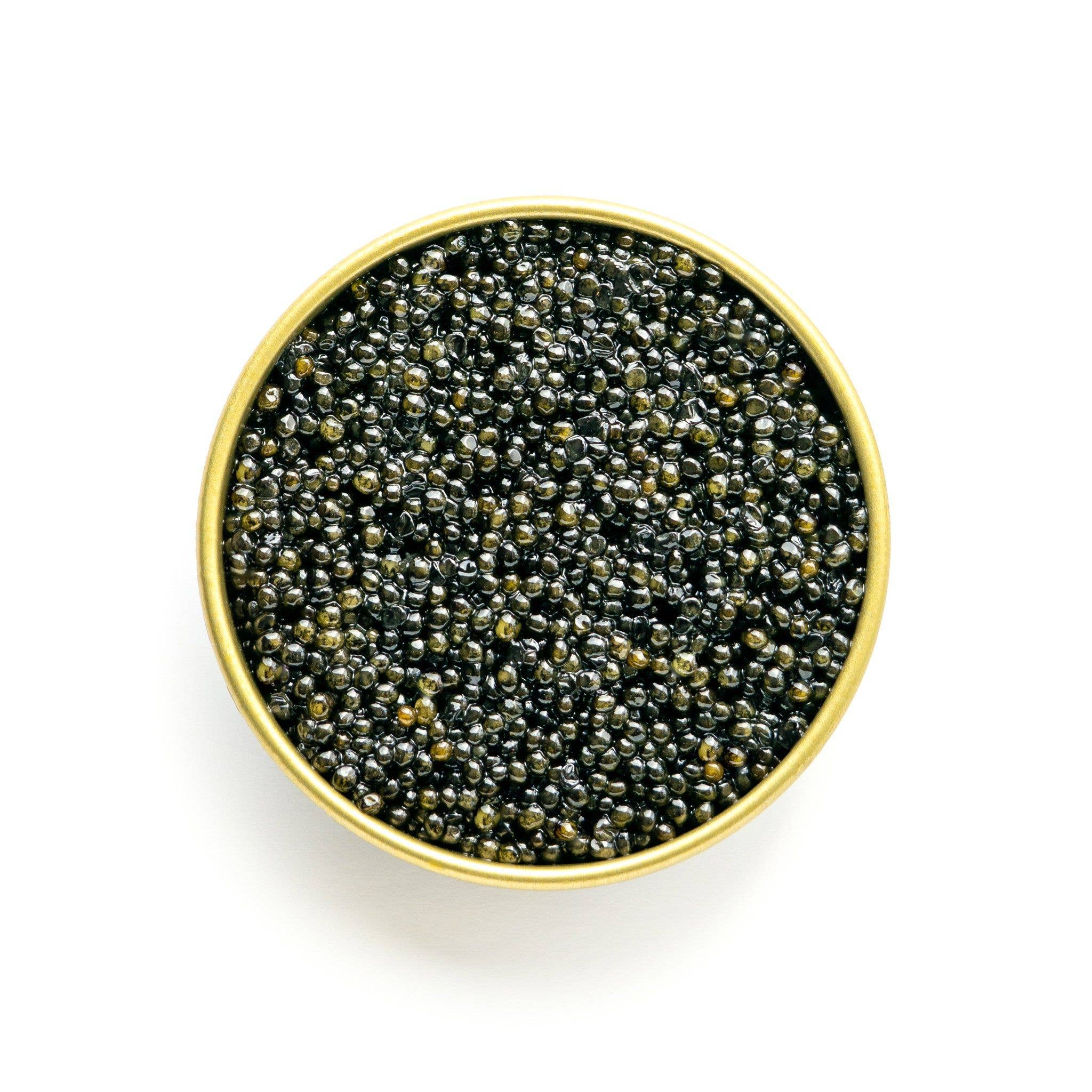 The Caviar Co. - Wholesale Fish/Seafood - Hackleback Caviar1