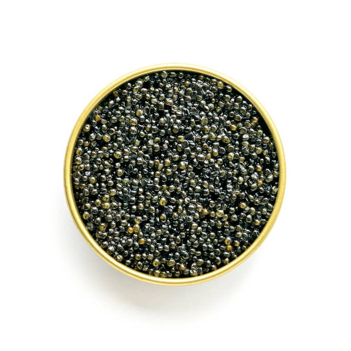 The Caviar Co. - Wholesale Fish/Seafood - Hackleback Caviar1