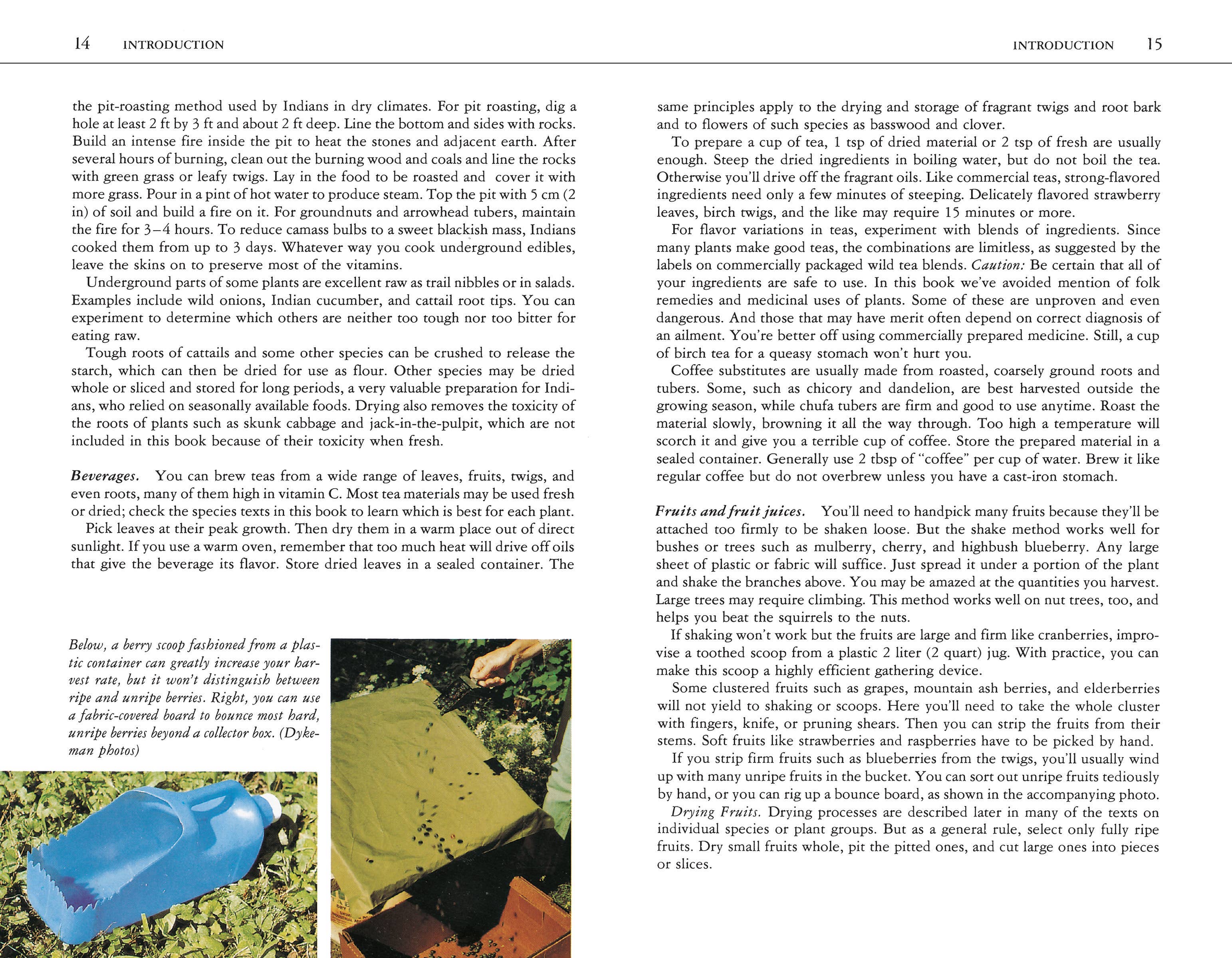 Hachette Book Group - Wholesale Nature & Outdoors - Edible Wild Plants: A North American Field Guide6