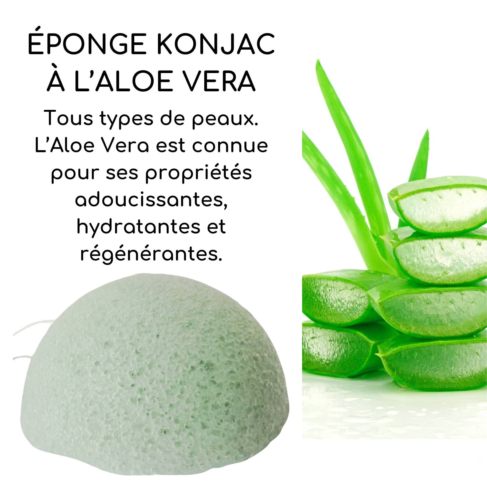 Zen'Arôme - Wholesale Facial cleanser - Aloe Vera Konjac Face Sponge - 100% Natural - in box2