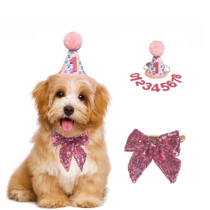 Dog pet birthday party hat&sequin bow props for wholesale by Little Trendy