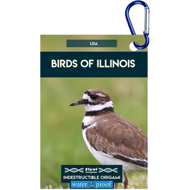 Birds of Illinois-Indestructible Origami for wholesale by Flexi Field Guides