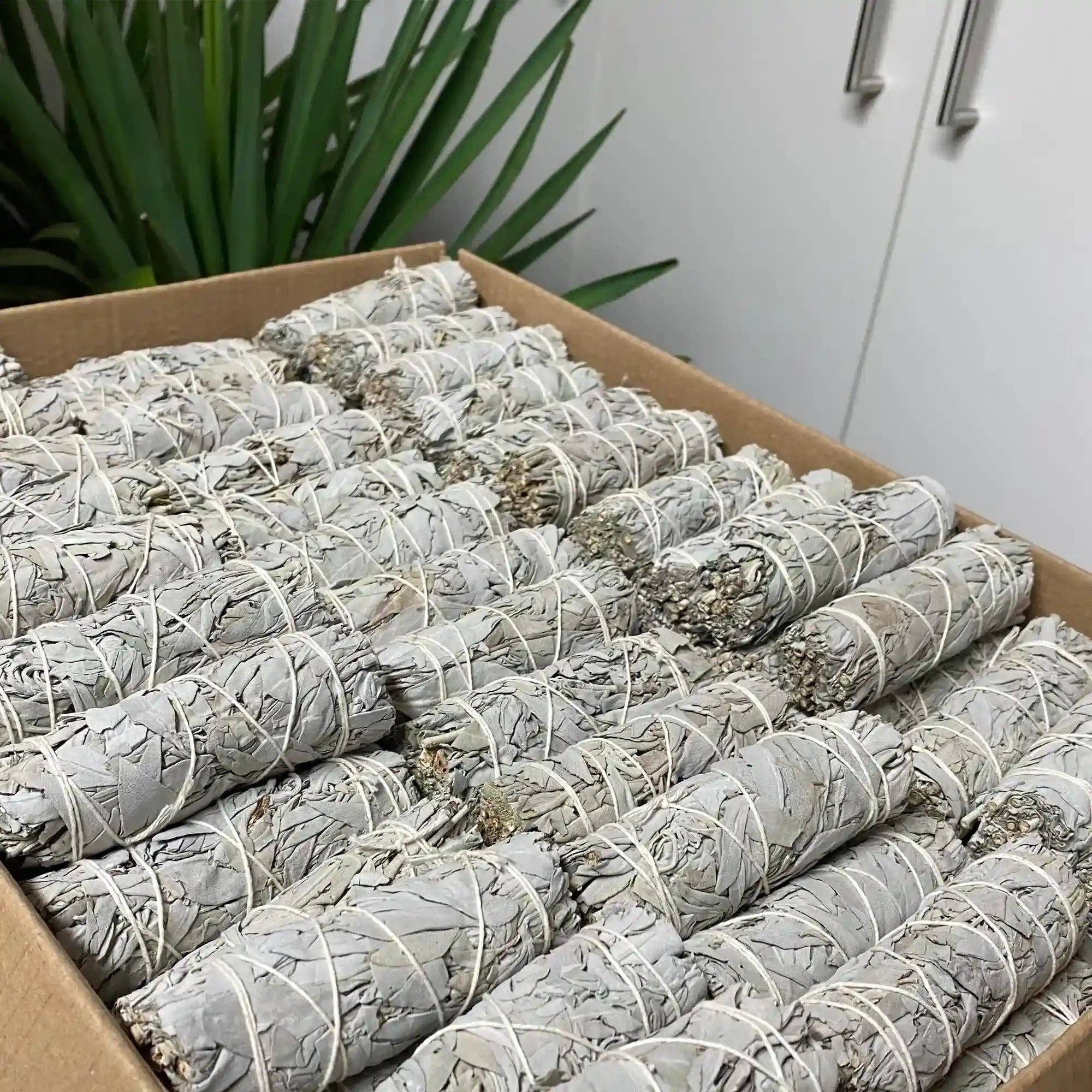 Veegreen – wholesale Sage bundle – White Sage Purification in Bulk5