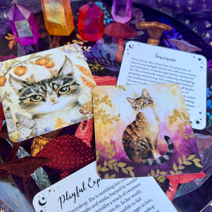 Nicole Piar - Wholesale Tarot Cards - Witch Cats Oracle Deck
