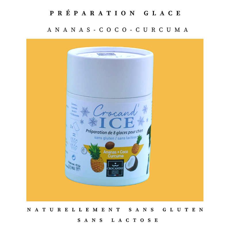 Crocandiz - Wholesale Pet Treats - Dog - Dog treat, pineapple-coconut ice cream for dogs1