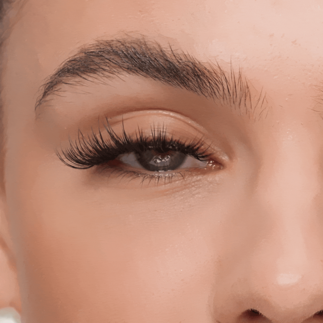 Pro Lash - Wholesale False/Fake Eyelashes - Volume Luxe Wispy Cat Eye No. 236